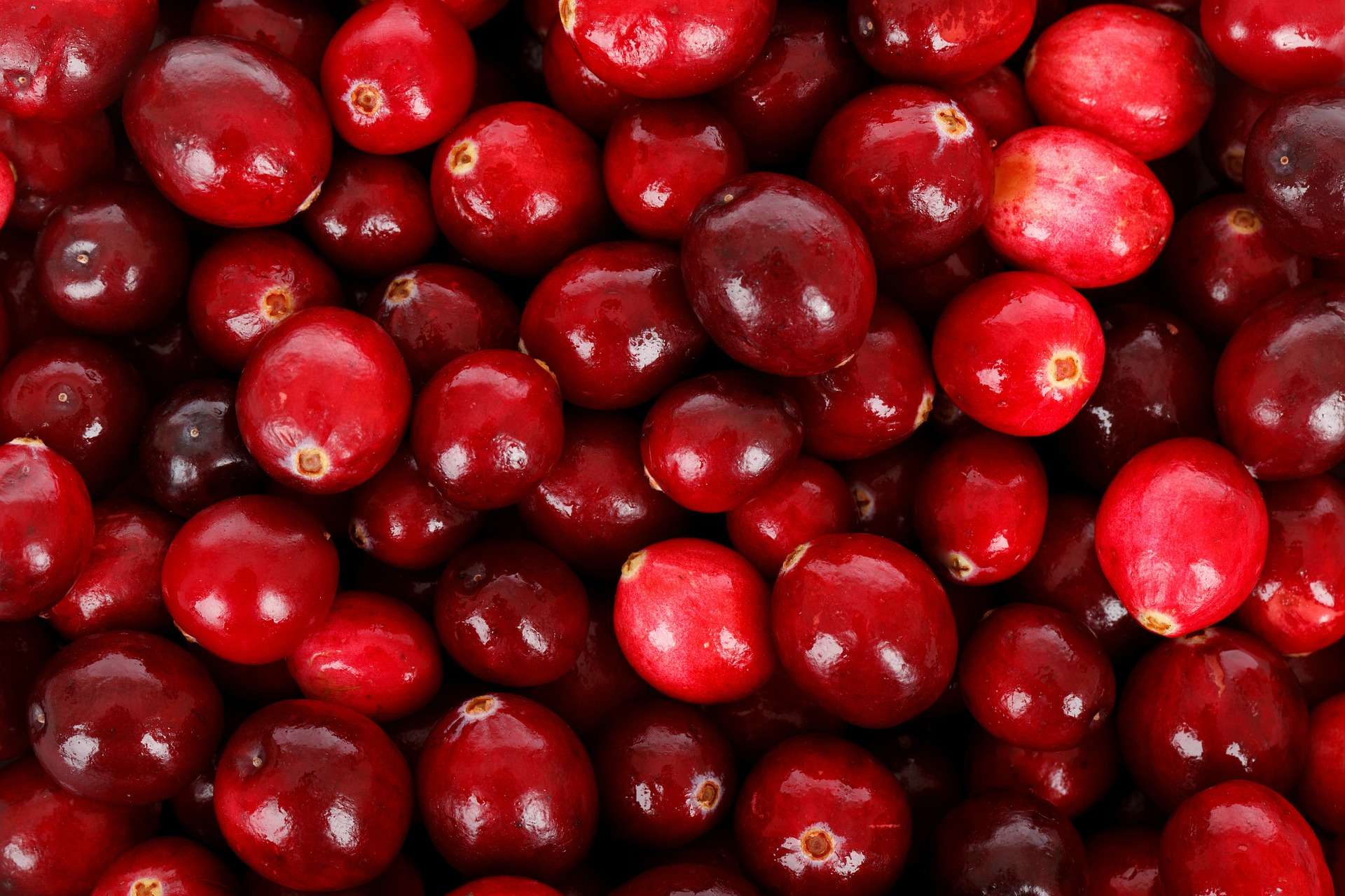 Cranberry Juice for Urinary Tract Infections: What does the Evidence Say?