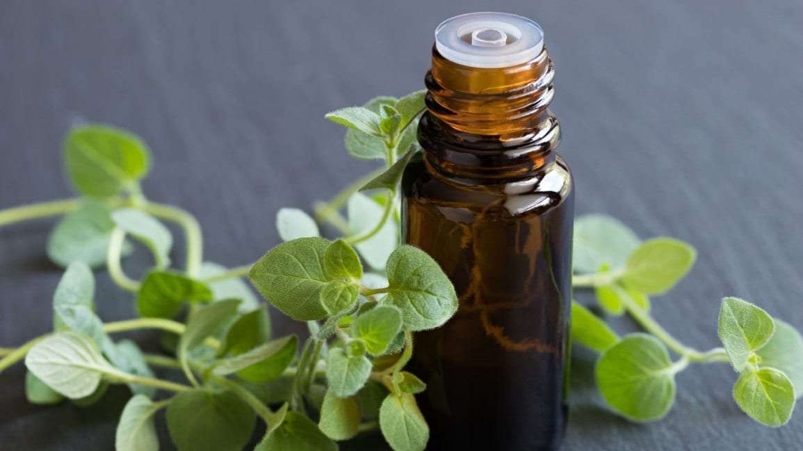 Oil of Oregano for Bladder Infections
